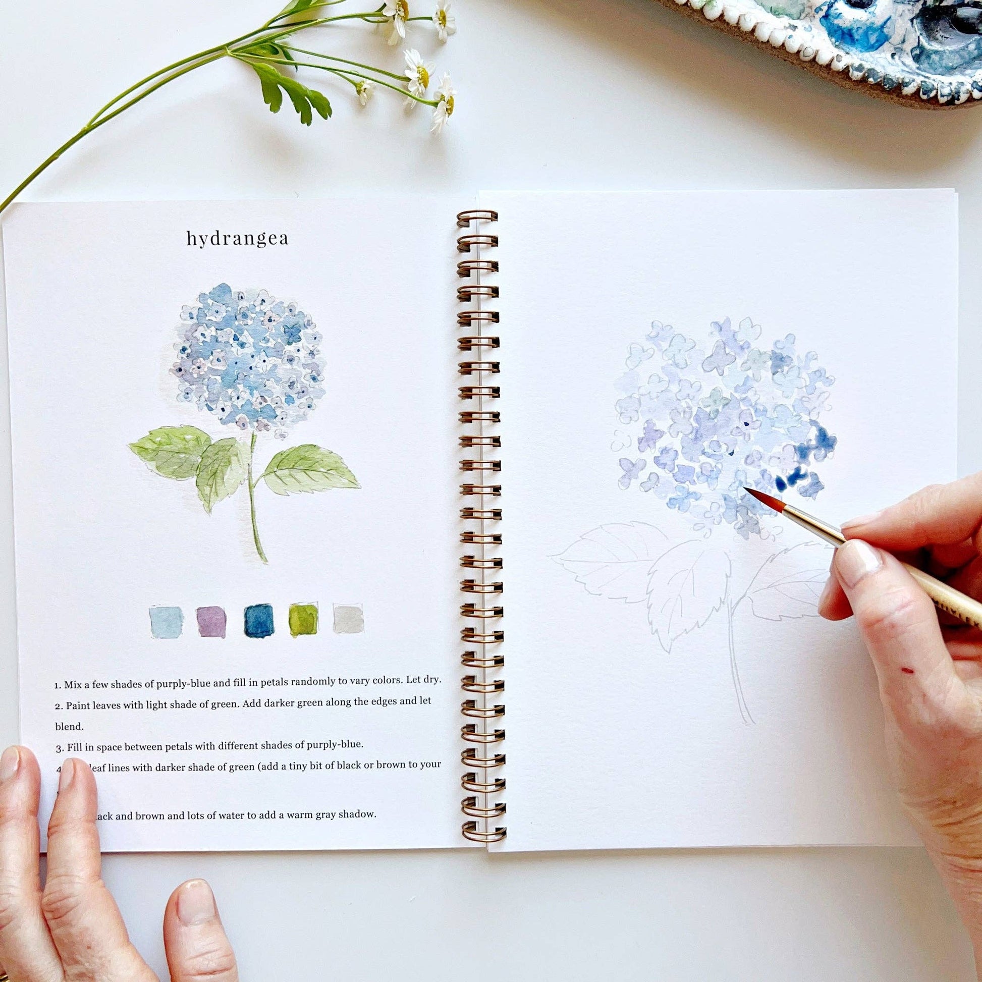 Person drawing hydrangeas in a sketchbook with a paintbrush