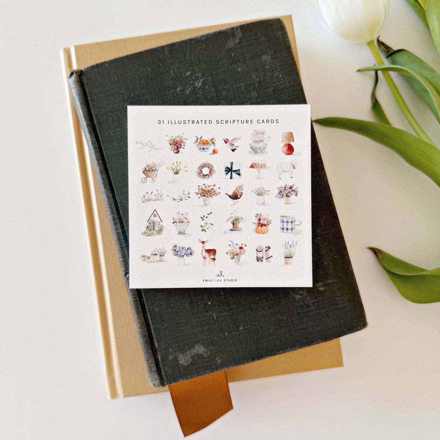 Truth for Today Scripture Card Set - Psalms Edition