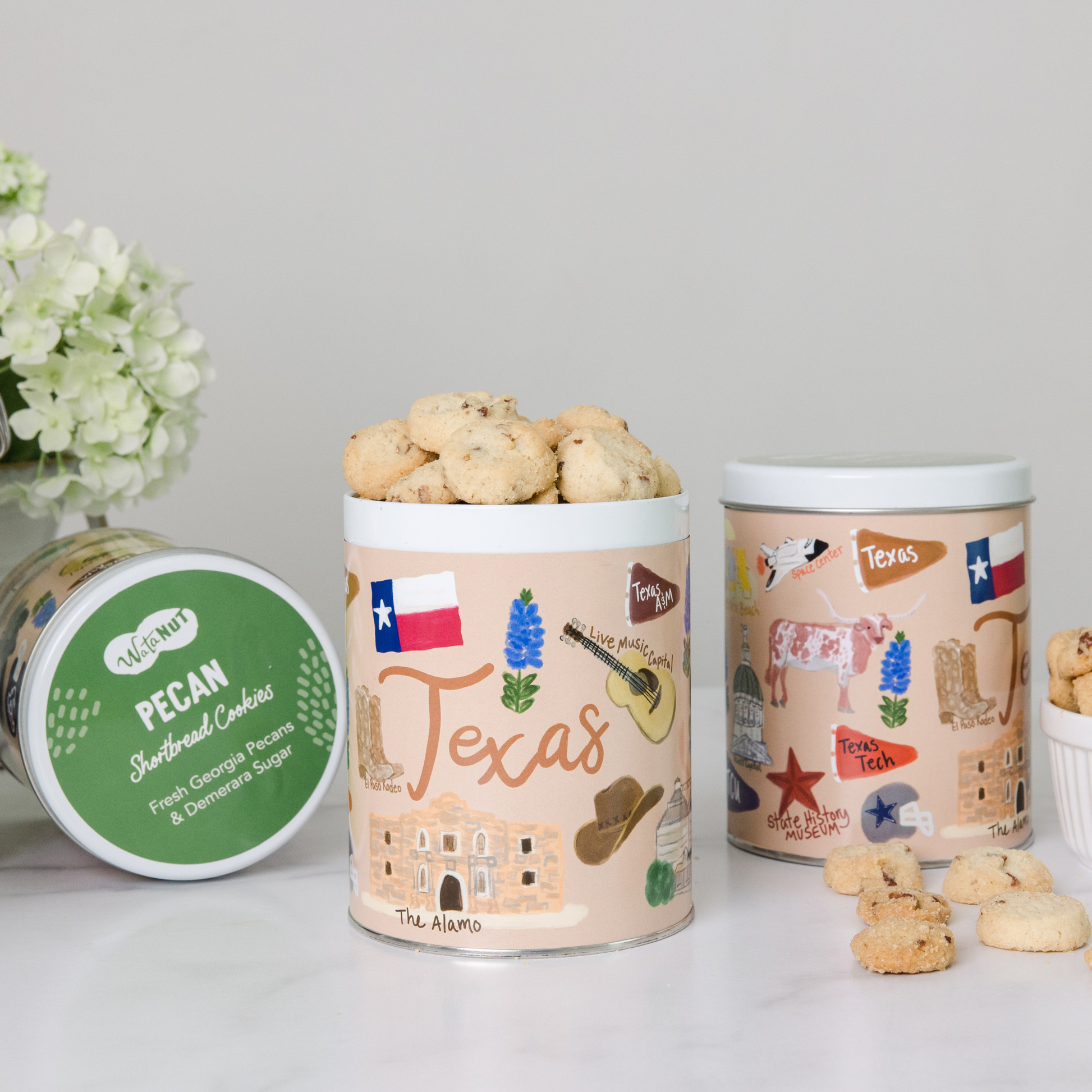 Texas State Gift Tin with praline pecans featuring illustrated Texas cities and landmarks
