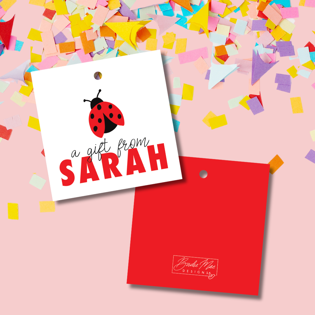ladybug gift tag with name sarah